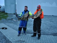 106 Jörgen och Christoffer med var sin fisk nu väntar katten på sin del